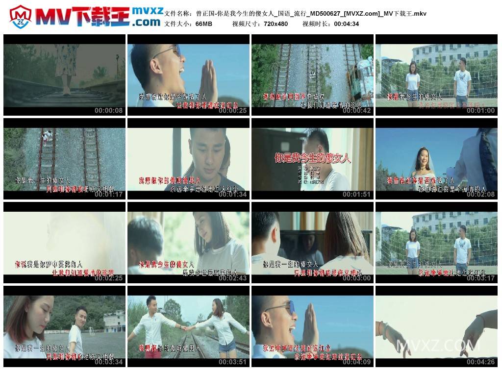 曾正国-你是我今生的傻女人_国语_流行_MD500627
